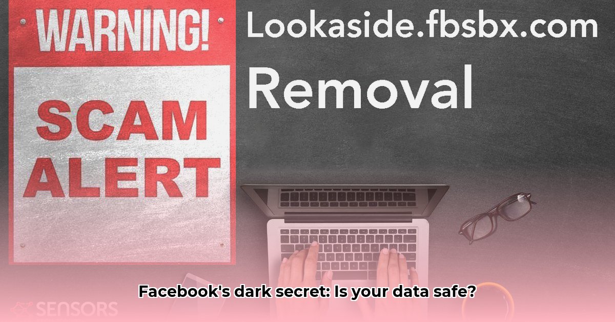 fbsbx